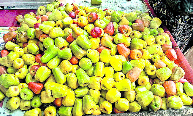 జీడిమామిడి పండ్లు2