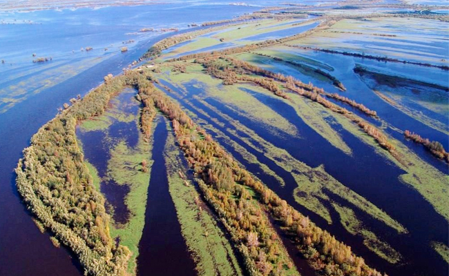 Top 10 Biggest Rivers In world - Sakshi8