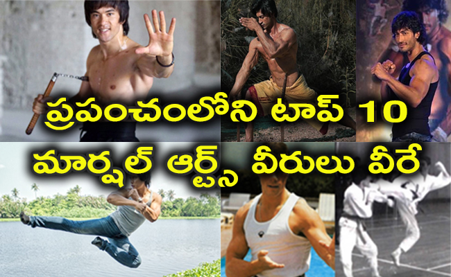 Top 10 Martial Artists In The World - Sakshi1