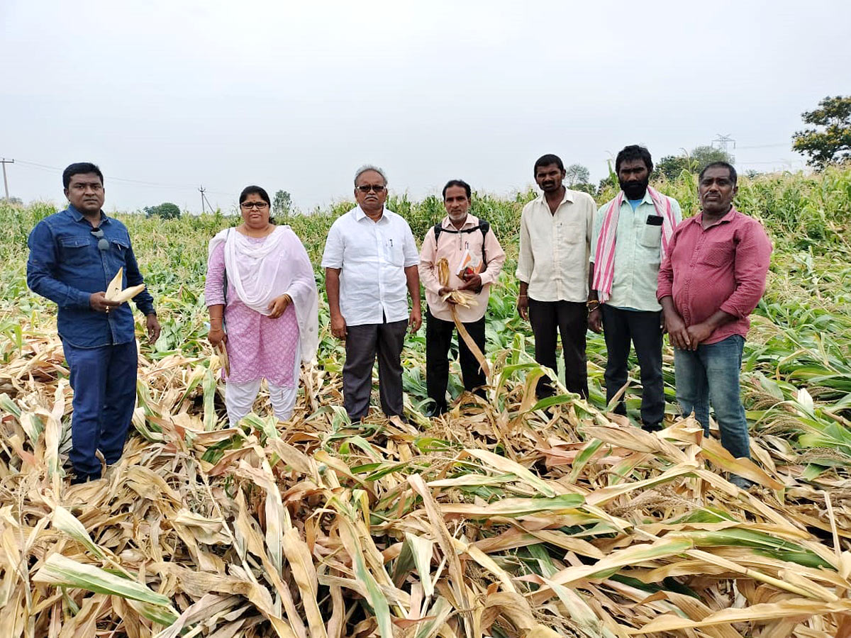 Farmers Facing Problems With Sudden Rains - Sakshi11