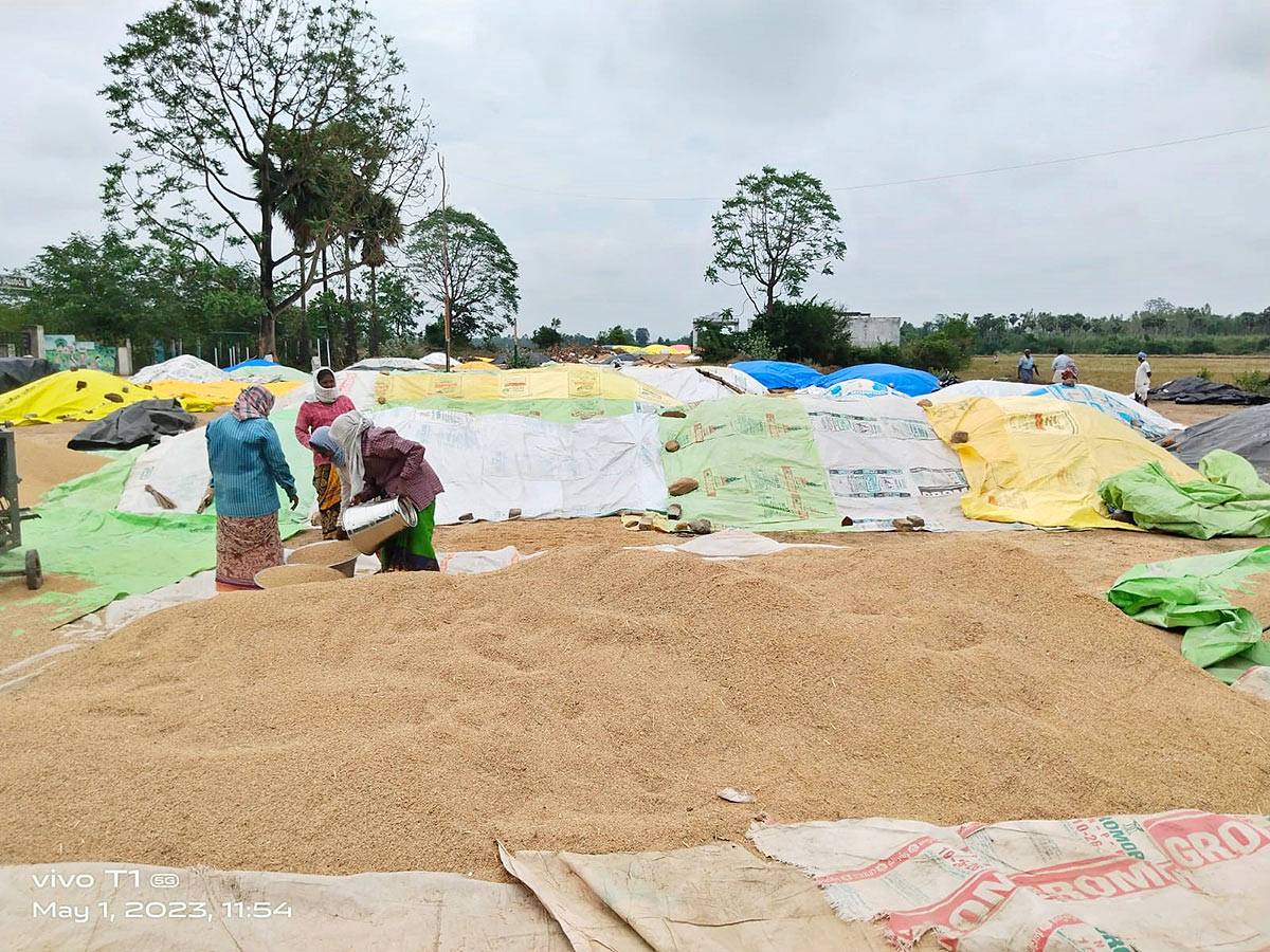 Farmers Facing Problems With Sudden Rains - Sakshi13
