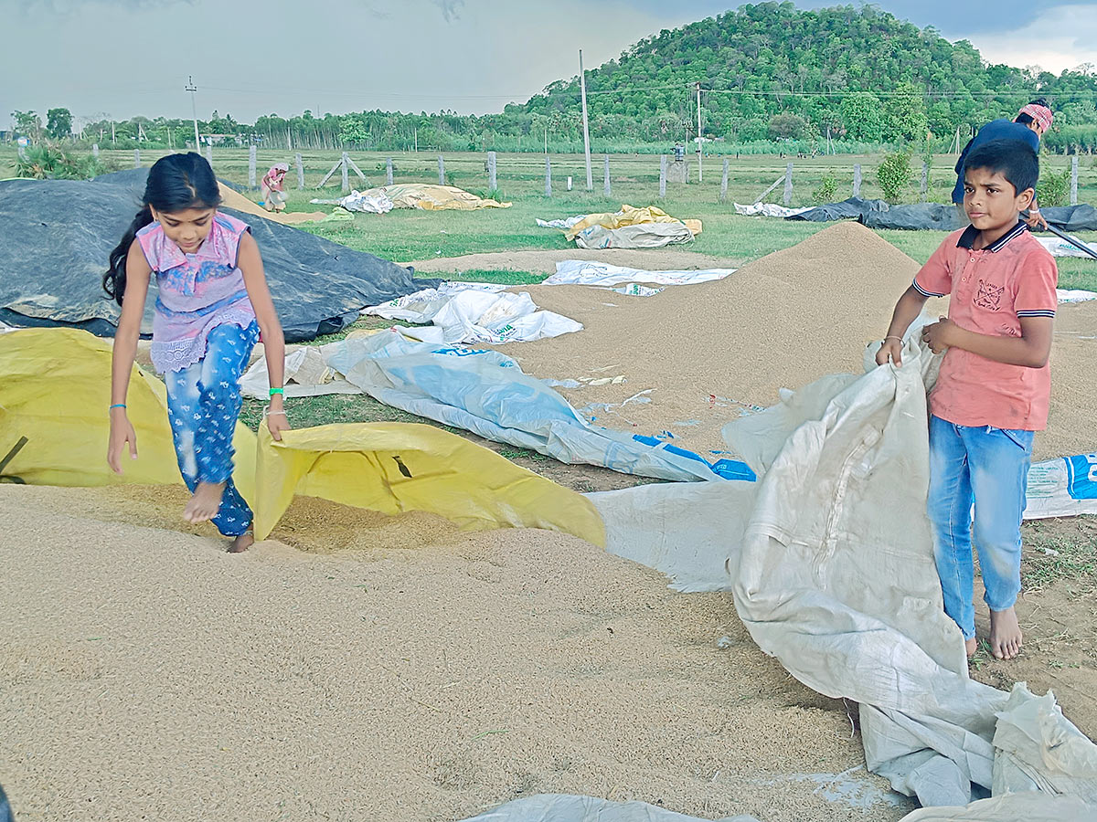 Farmers Facing Problems With Sudden Rains - Sakshi15