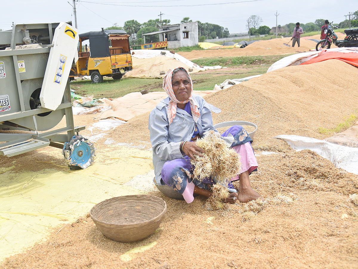 Farmers Facing Problems With Sudden Rains - Sakshi17