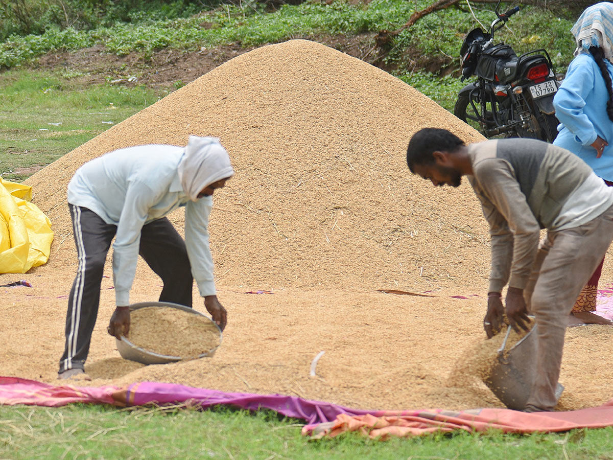 Farmers Facing Problems With Sudden Rains - Sakshi18