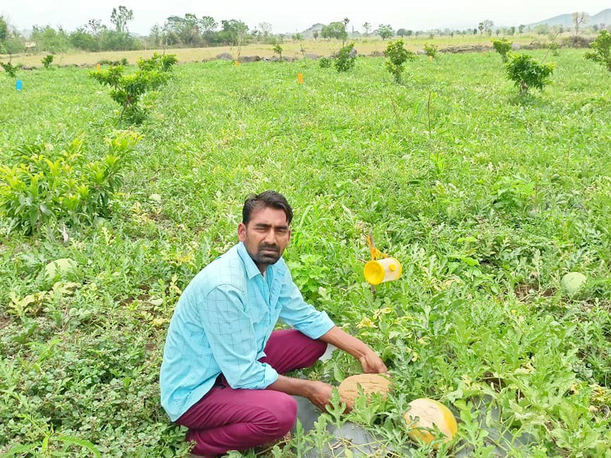 Farmers Facing Problems With Sudden Rains - Sakshi21