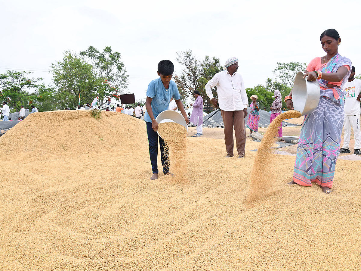 Farmers Facing Problems With Sudden Rains - Sakshi22