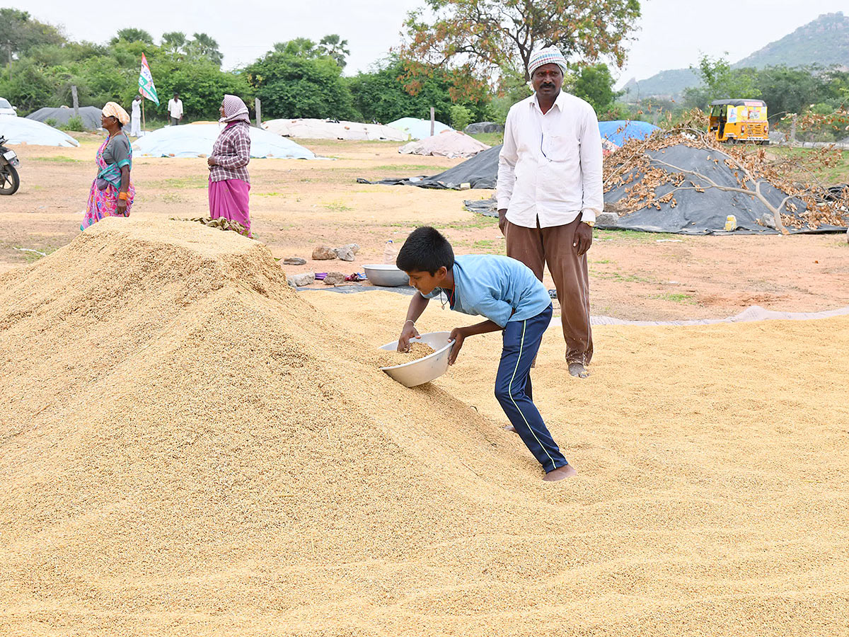 Farmers Facing Problems With Sudden Rains - Sakshi23