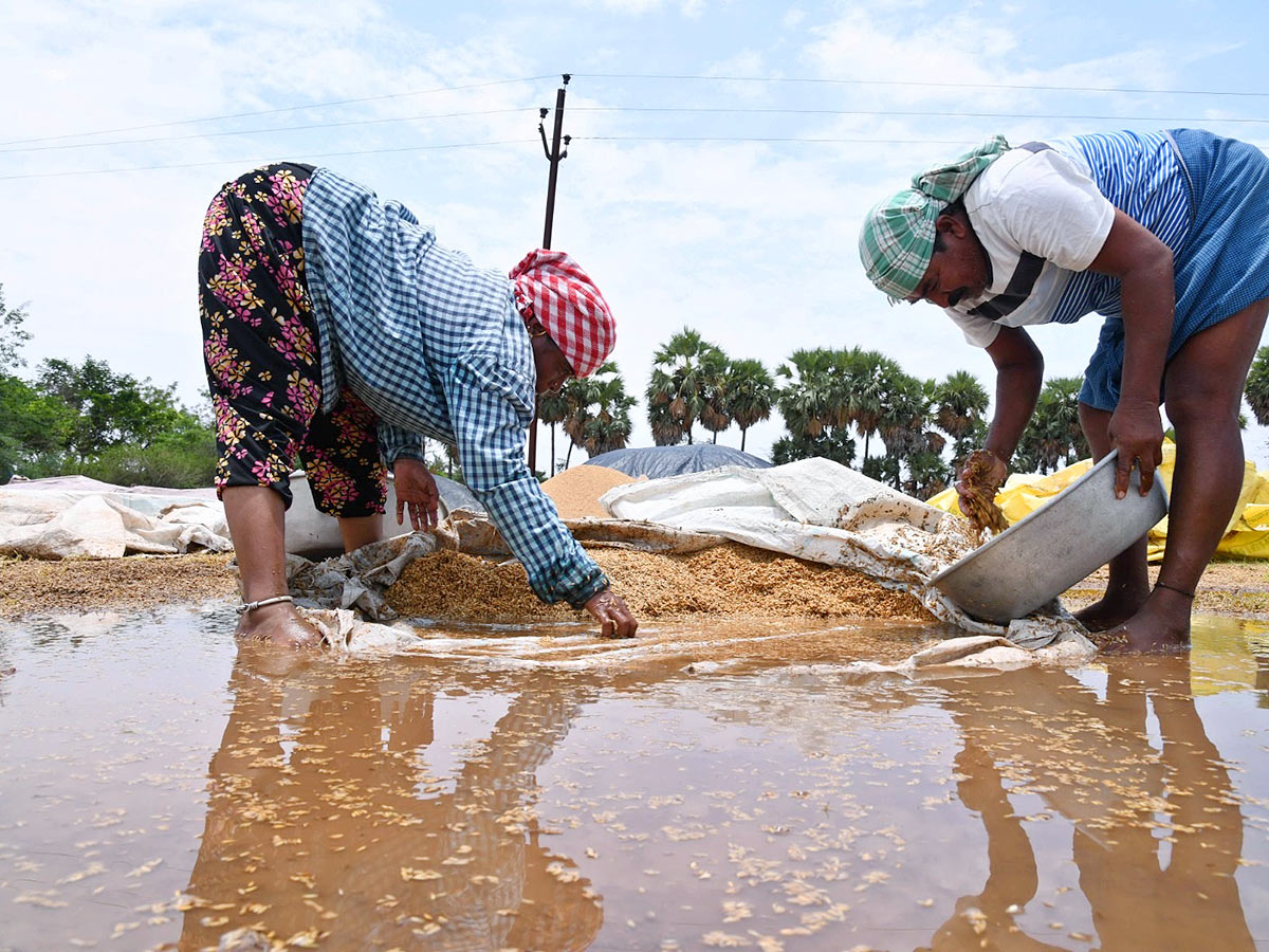 Farmers Facing Problems With Sudden Rains - Sakshi3