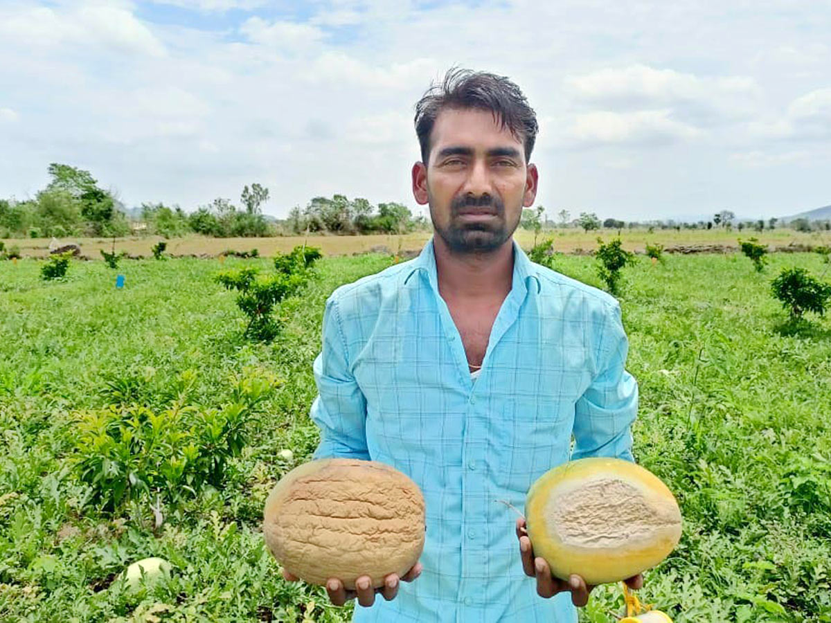 Farmers Facing Problems With Sudden Rains - Sakshi5