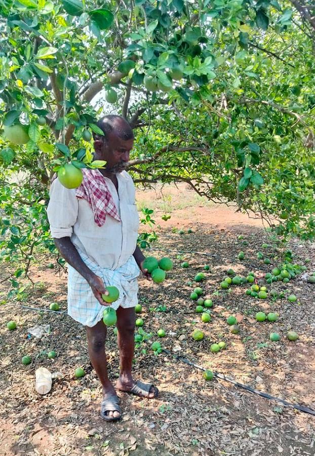 Farmers Facing Problems With Sudden Rains - Sakshi7