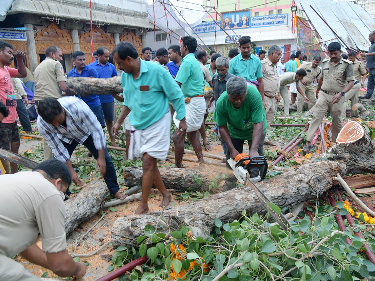 Devotee killed After Tree Fell On Him At Tirupati Govindaraja Swamy temple - Sakshi17