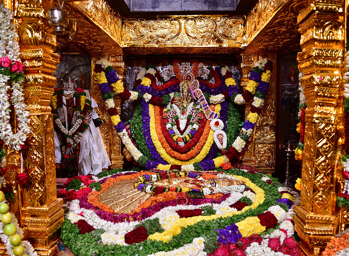Balkampet Yellamma Kalyanotsavam Hyderabad - Sakshi43