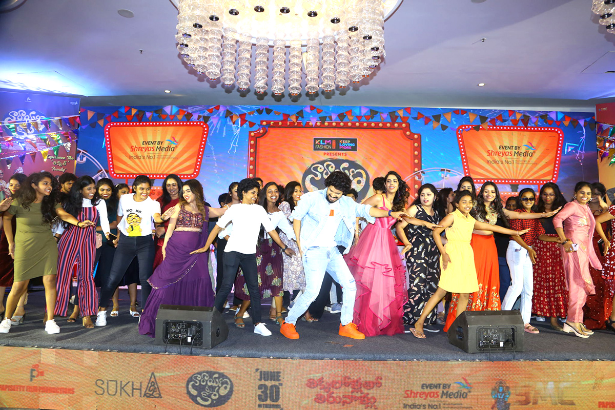 Narayana and Co Pre Release Event Pics - Sakshi1