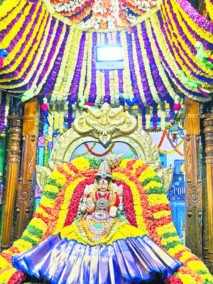 ప్రత్యేక అలంకరణలో అమ్మవారు 1