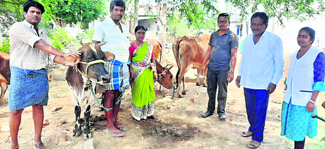 పాడి రైతులకు అవగాహన కలిగిస్తున్న అధికారులు 1