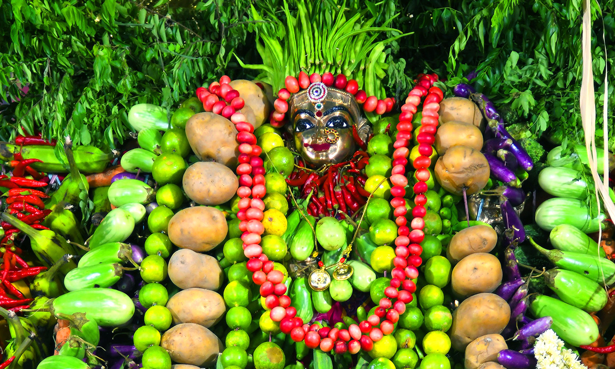 Shakambari Utsavalu Started in Vijayawada - Sakshi7