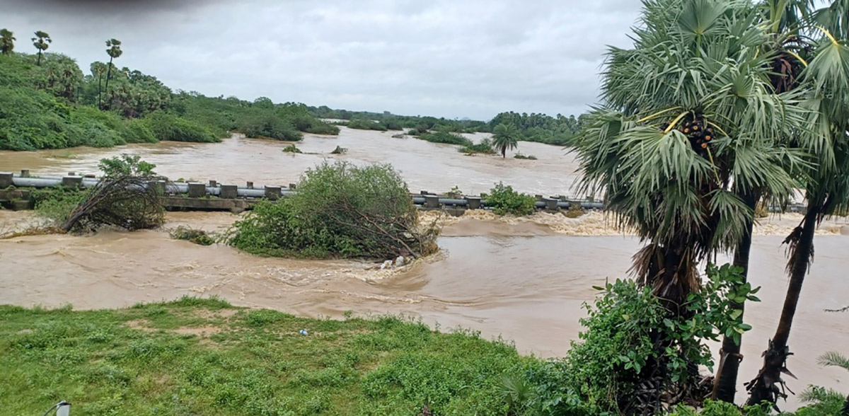 heavy rain in warangal district photos - Sakshi12