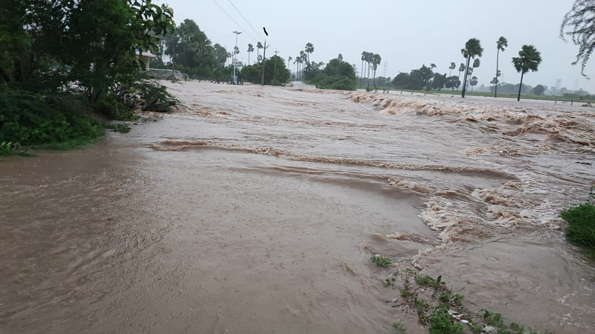 heavy rain in warangal district photos - Sakshi22