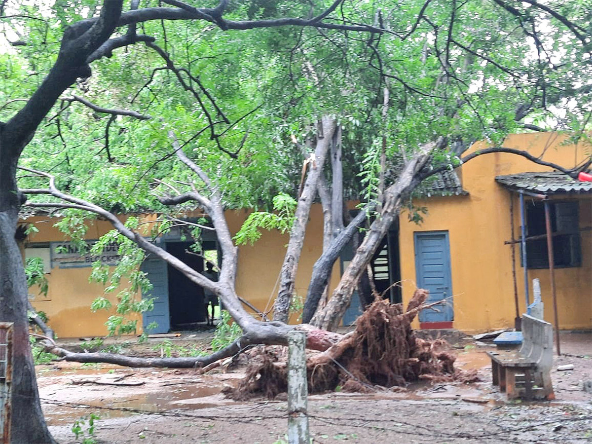 heavy rain in warangal district photos - Sakshi47