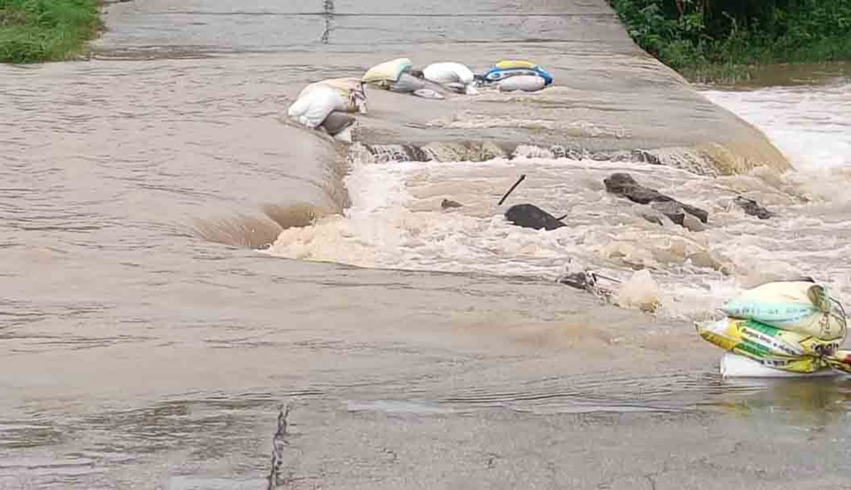 heavy rain in warangal district photos - Sakshi50