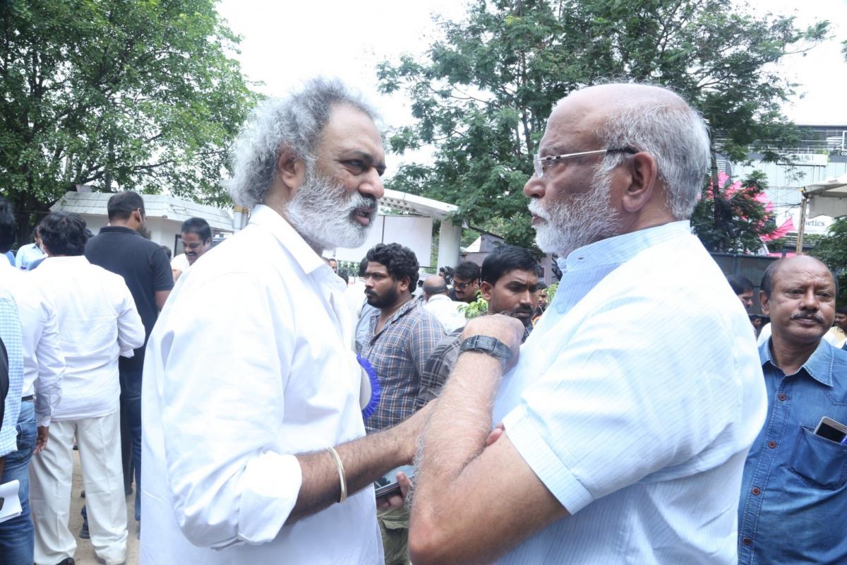 Telugu Film Chamber Elections 2023 Photo Gallery - Sakshi41