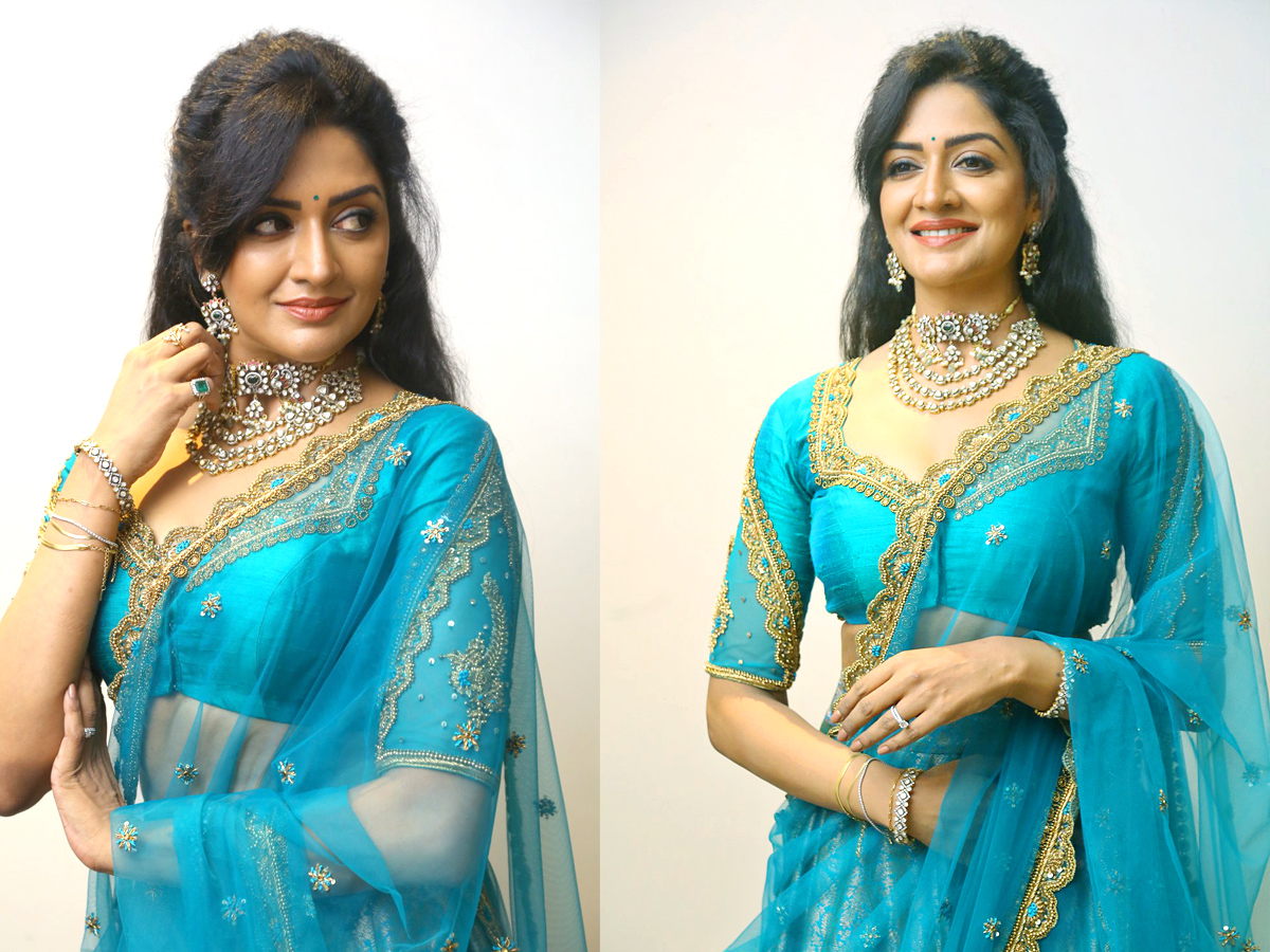 Actress Vimala Raman New Pics at Rudrangi Movie - Sakshi1