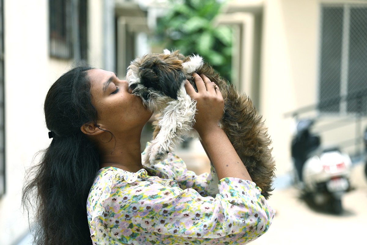 Free Vaccination For Animals Photos - Sakshi1