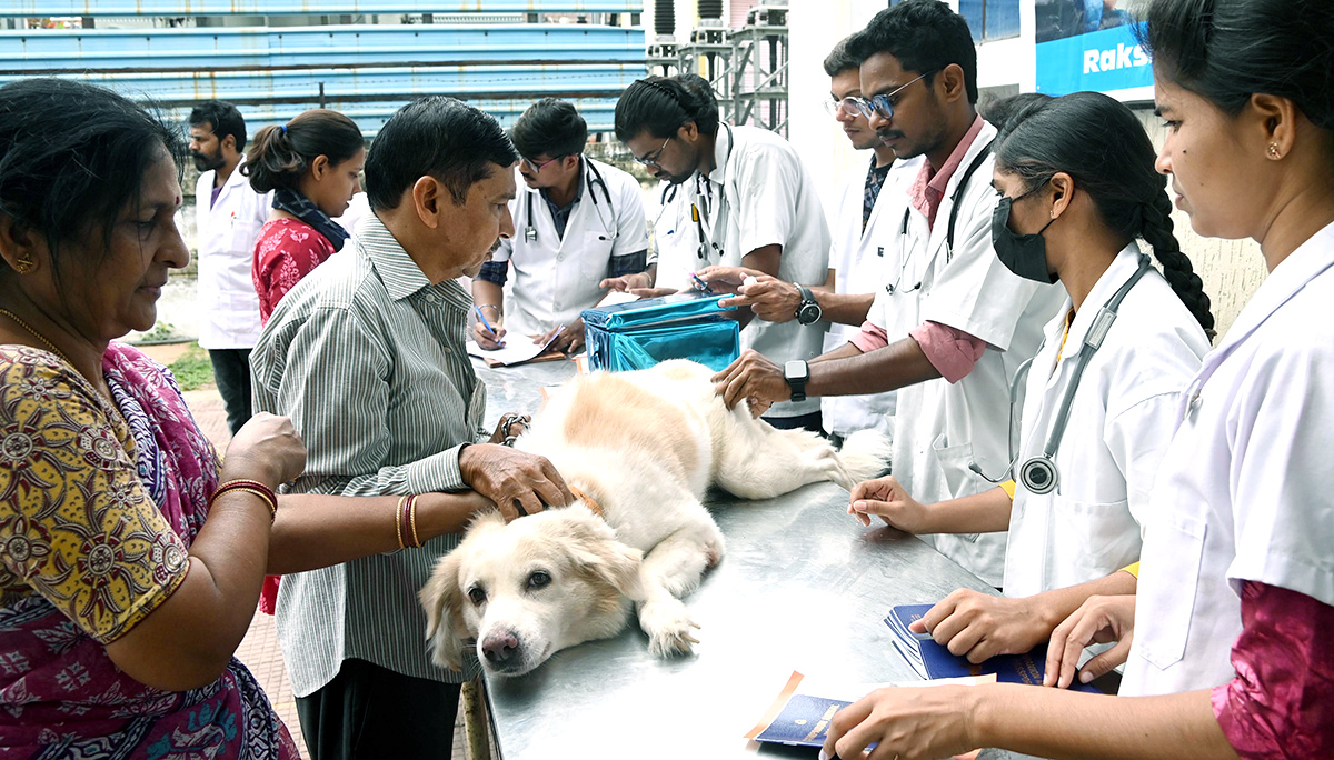Free Vaccination For Animals Photos - Sakshi10
