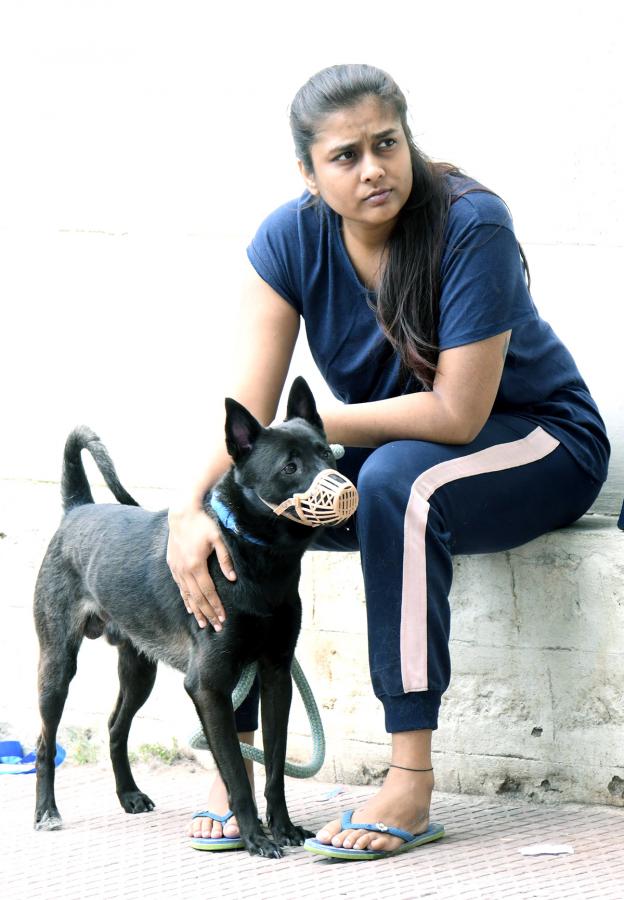 Free Vaccination For Animals Photos - Sakshi12