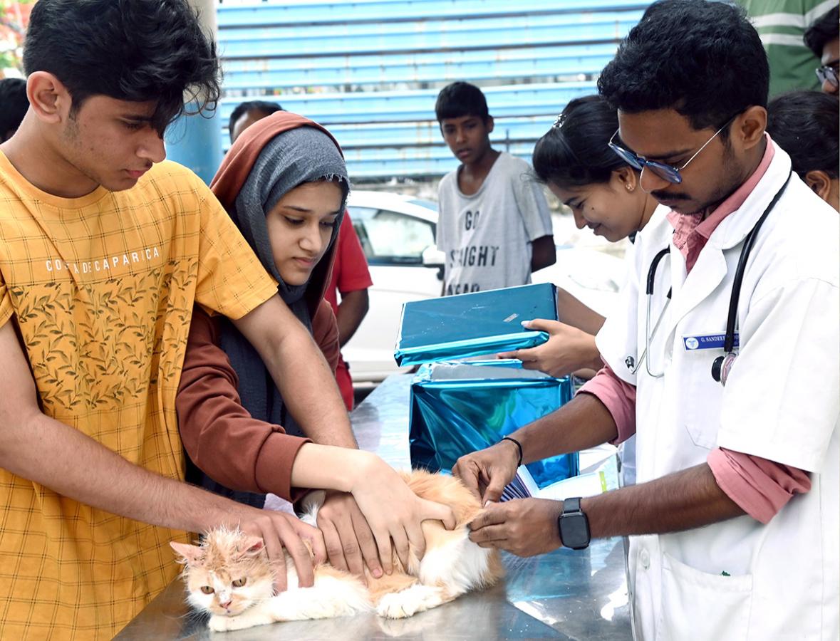 Free Vaccination For Animals Photos - Sakshi13