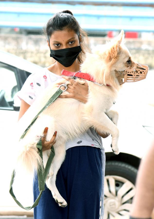 Free Vaccination For Animals Photos - Sakshi15