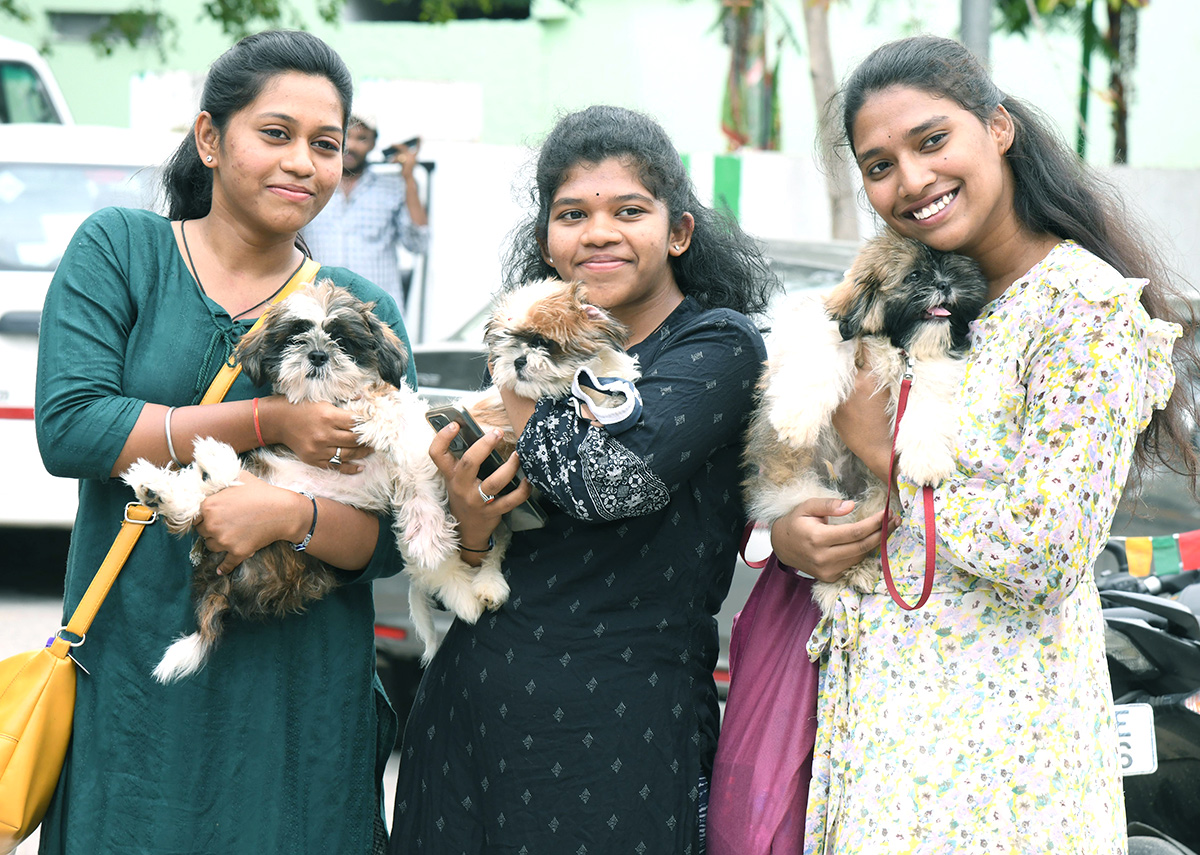 Free Vaccination For Animals Photos - Sakshi2