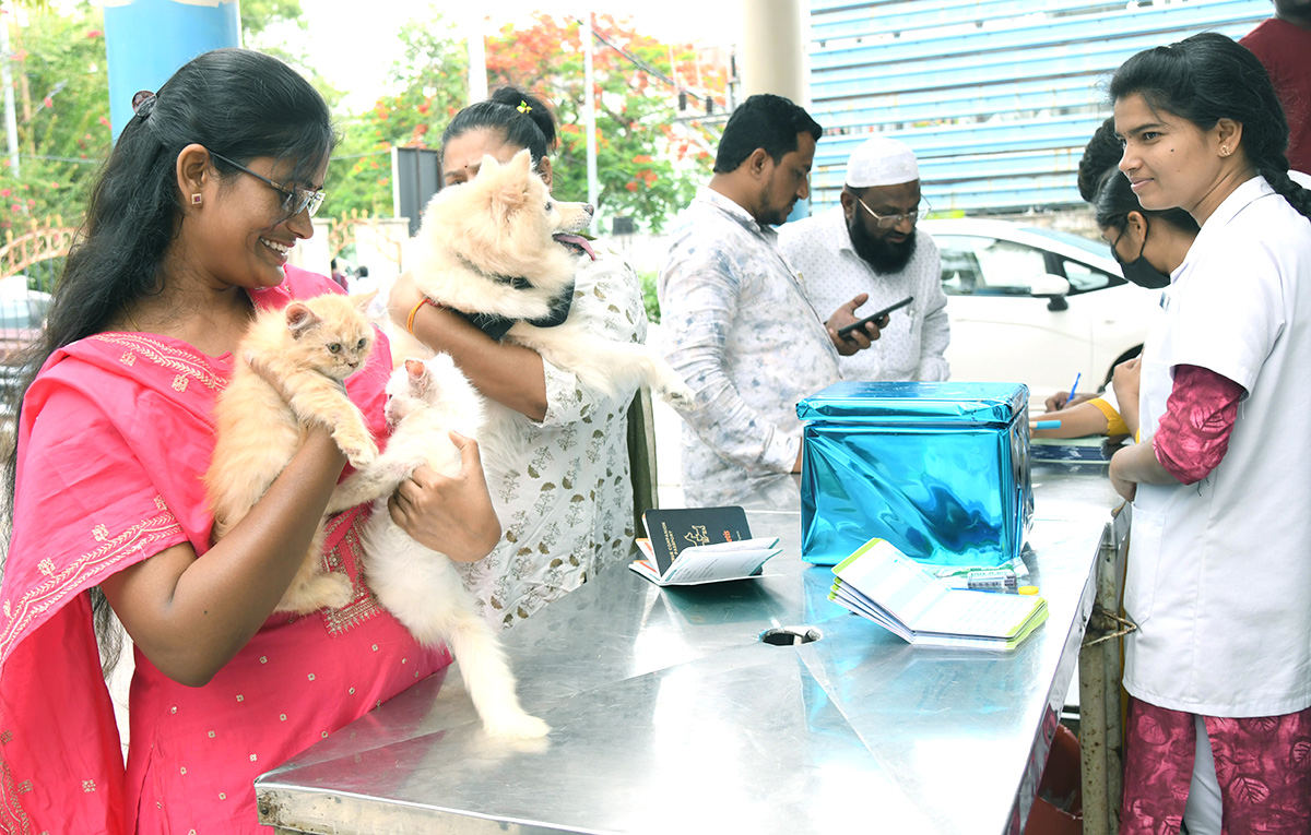 Free Vaccination For Animals Photos - Sakshi3
