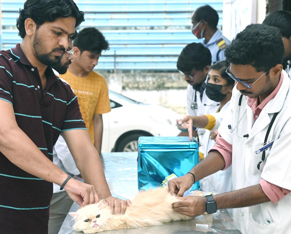 Free Vaccination For Animals Photos - Sakshi5