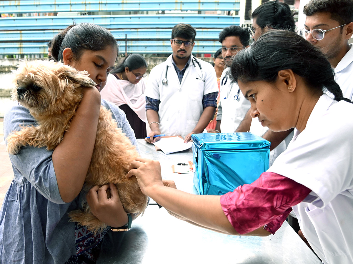 Free Vaccination For Animals Photos - Sakshi8
