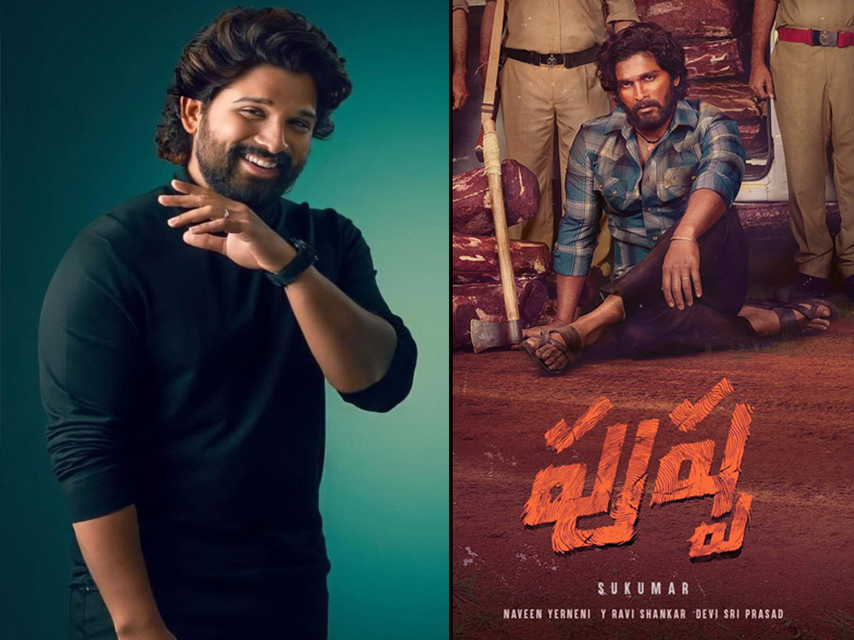 Allu Arjun (Pushpa 1) - Sakshi2