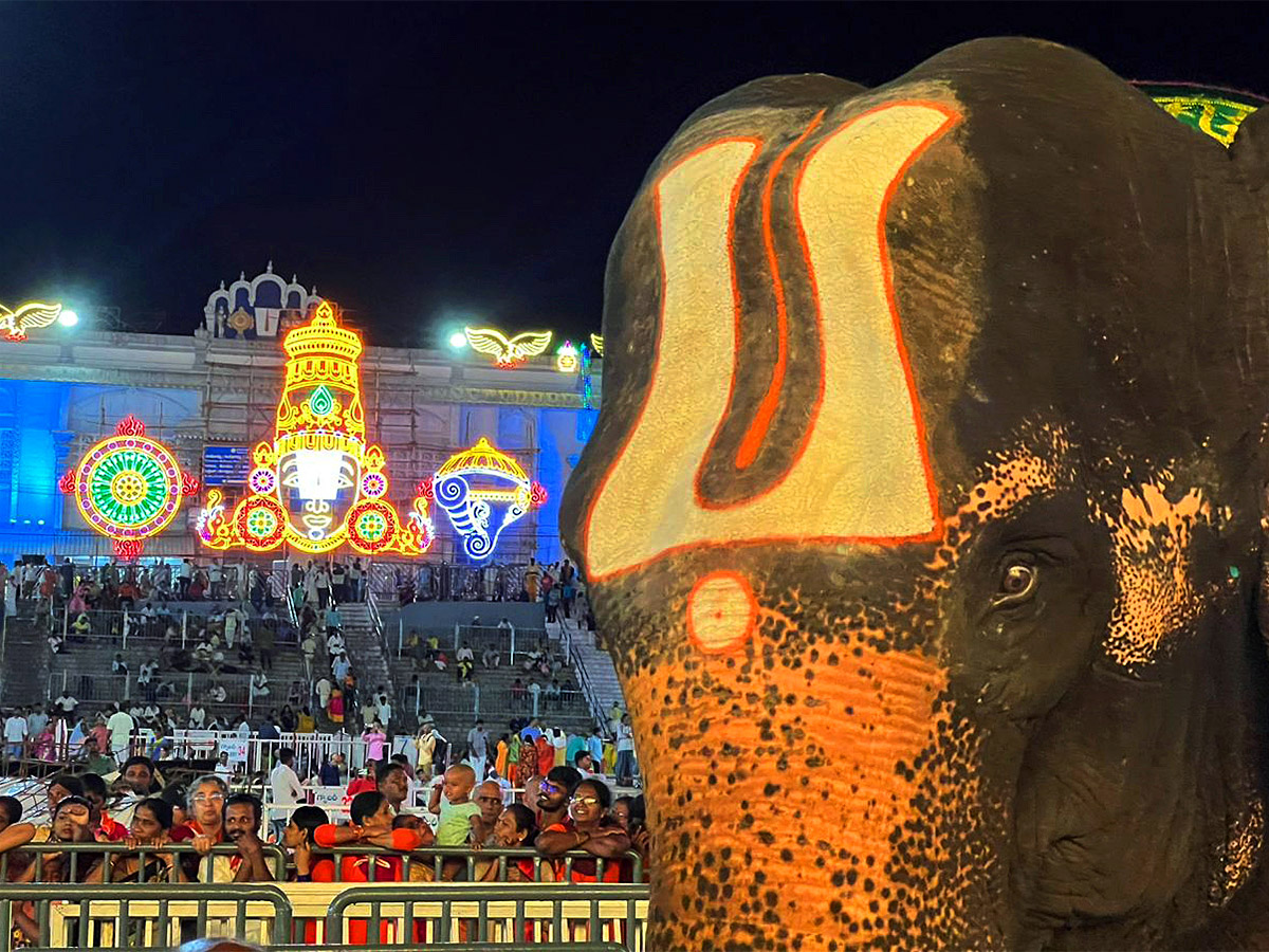 Brahmotsavaalu 2023 In Tirumala Photos - Sakshi8