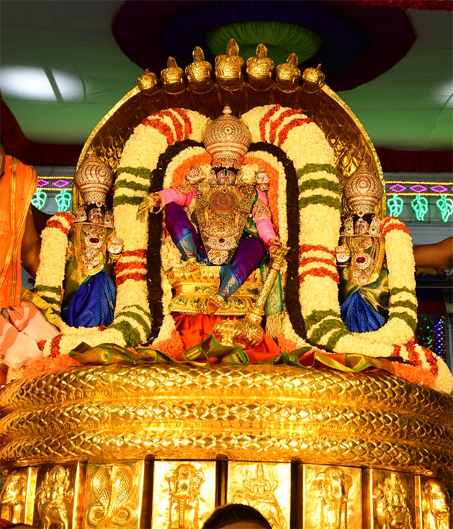 Tirumala Brahmotsavam 2023 Photos - Sakshi11