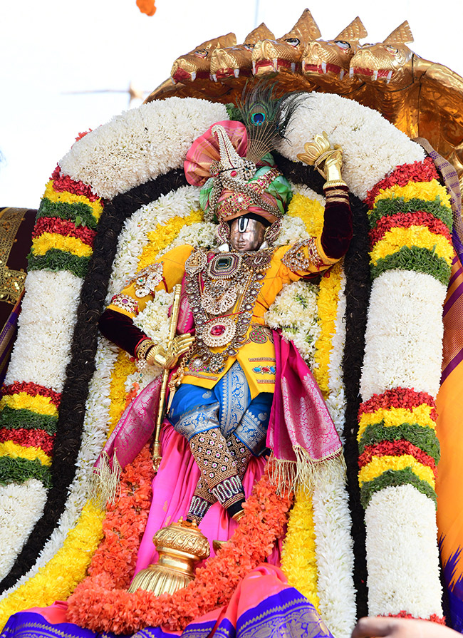 Brahmotsavam 2023 Celebrations In Tirumala - Sakshi49