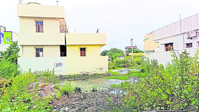 సాకరాసికుంటలో డ్రెయినేజీలు లేక ఖాళీ స్థలంలో
చెత్తాచెదారం, మురుగునీరు1
