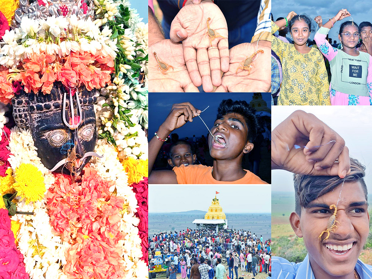 Devotees offer scorpions to Deity at Kodumur temple in Kurnool - Sakshi1