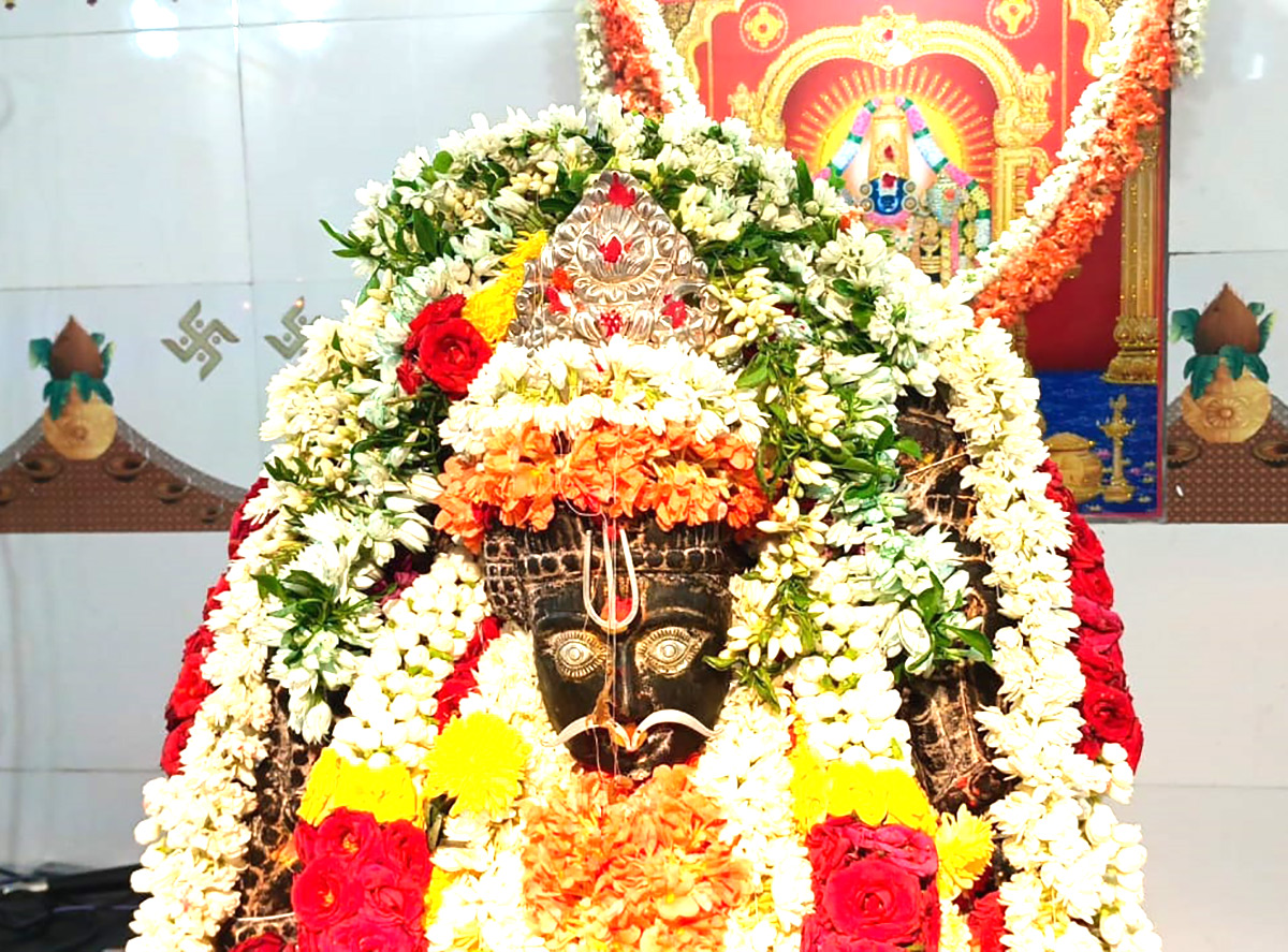 Devotees offer scorpions to Deity at Kodumur temple in Kurnool - Sakshi18