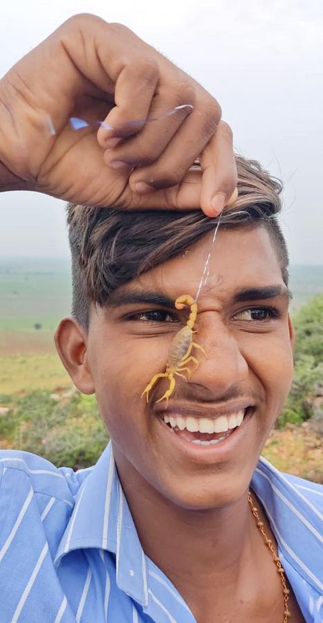 Devotees offer scorpions to Deity at Kodumur temple in Kurnool - Sakshi6