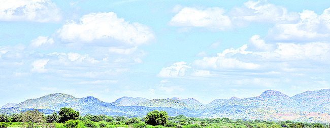 పచ్చదనం సంతరించుకున్న బోడి కొండలు2