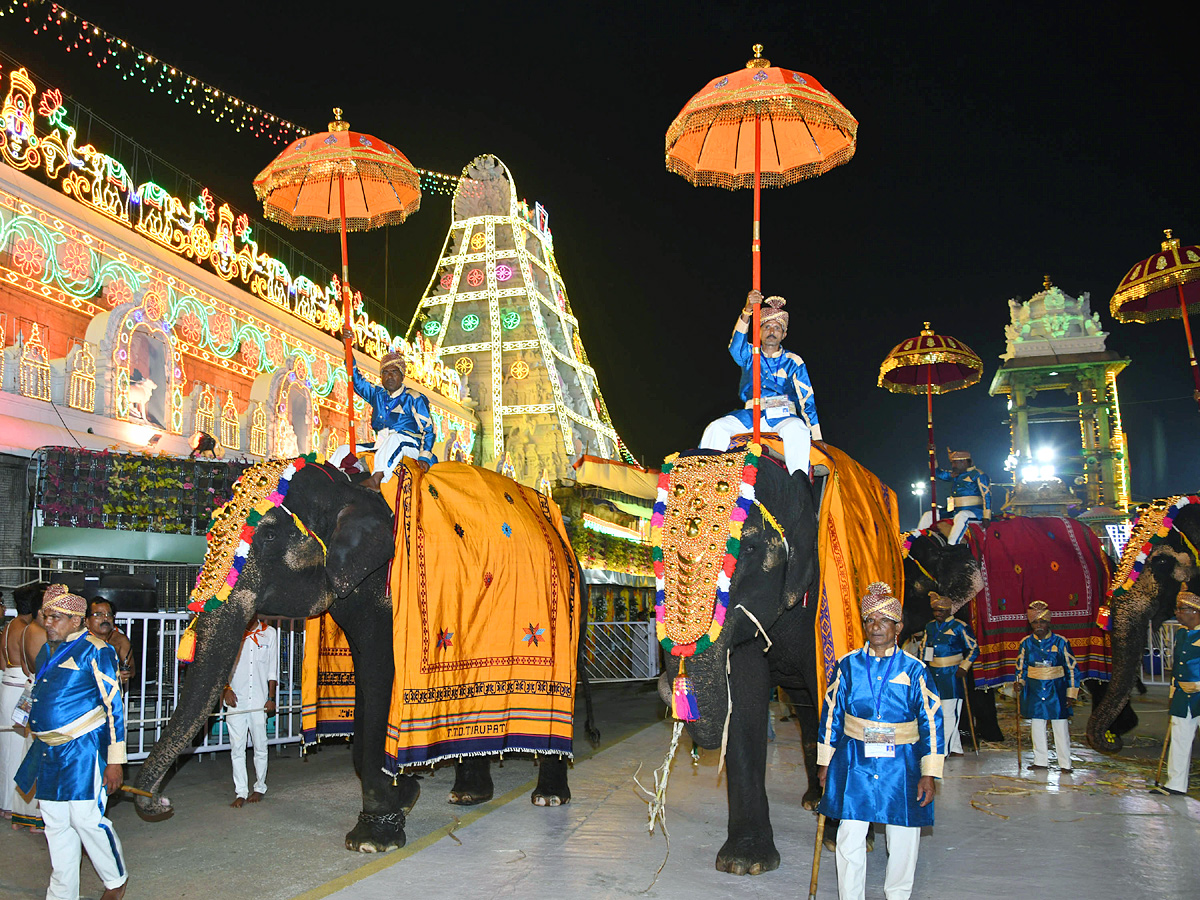 Tirumala Srivari Navaratri Brahmotsavam 2023 - Pushpaka Vimanam Photos - Sakshi20