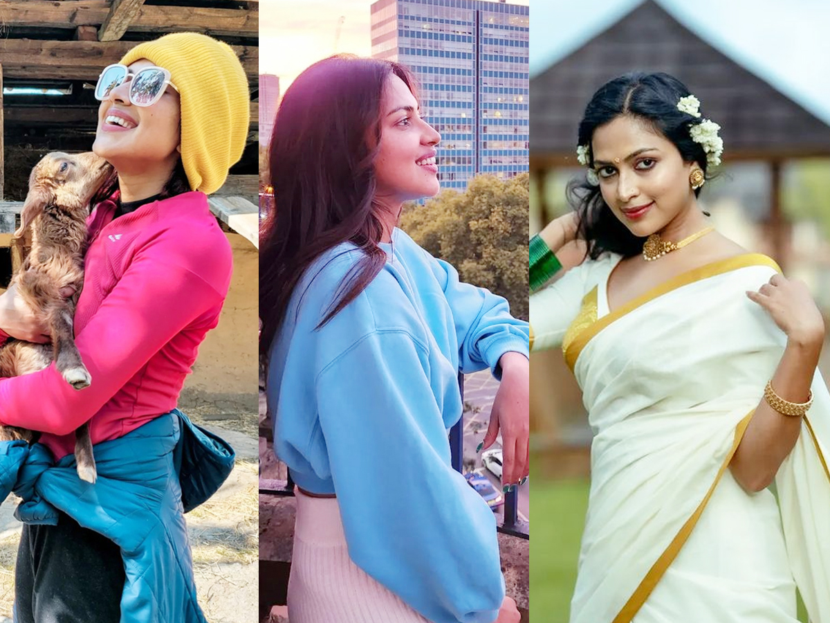 TollyWood Beauty Amala Paul Photo Gallery - Sakshi1