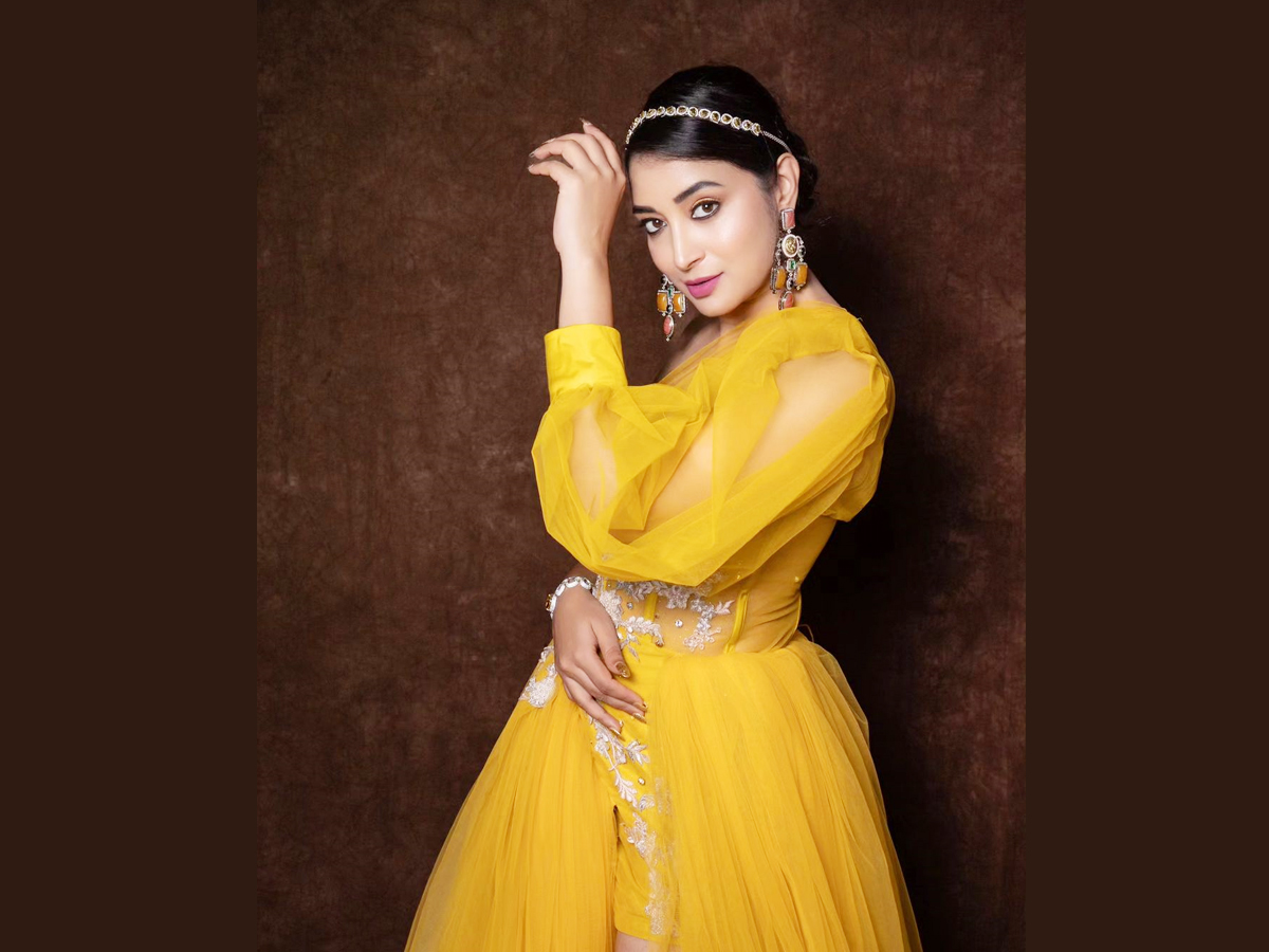 Bigg Boss Beauty Bhanu Sri Hot Poses (Photos) - Sakshi29