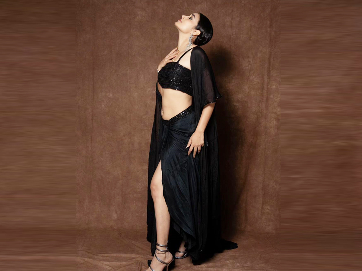 Bigg Boss Beauty Bhanu Sri Hot Poses (Photos) - Sakshi5