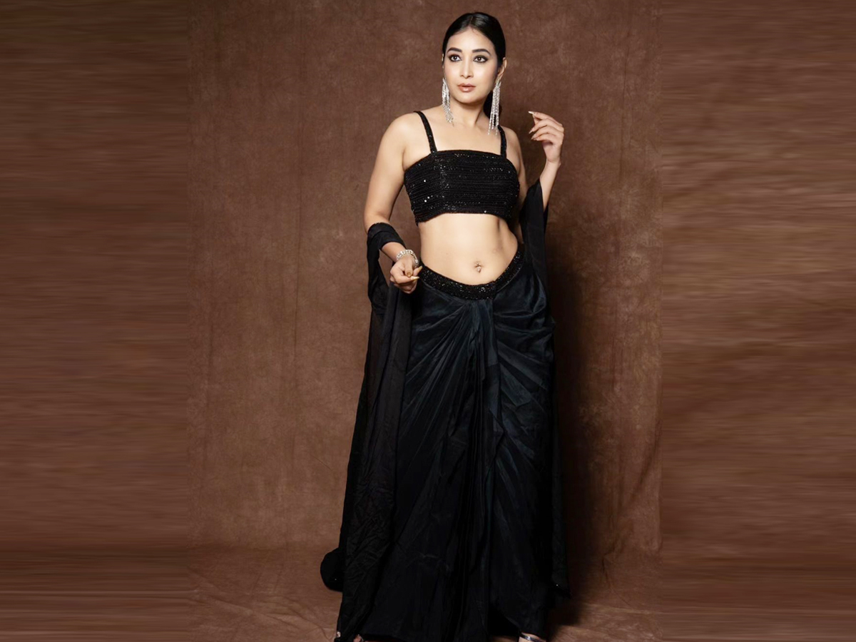 Bigg Boss Beauty Bhanu Sri Hot Poses (Photos) - Sakshi10