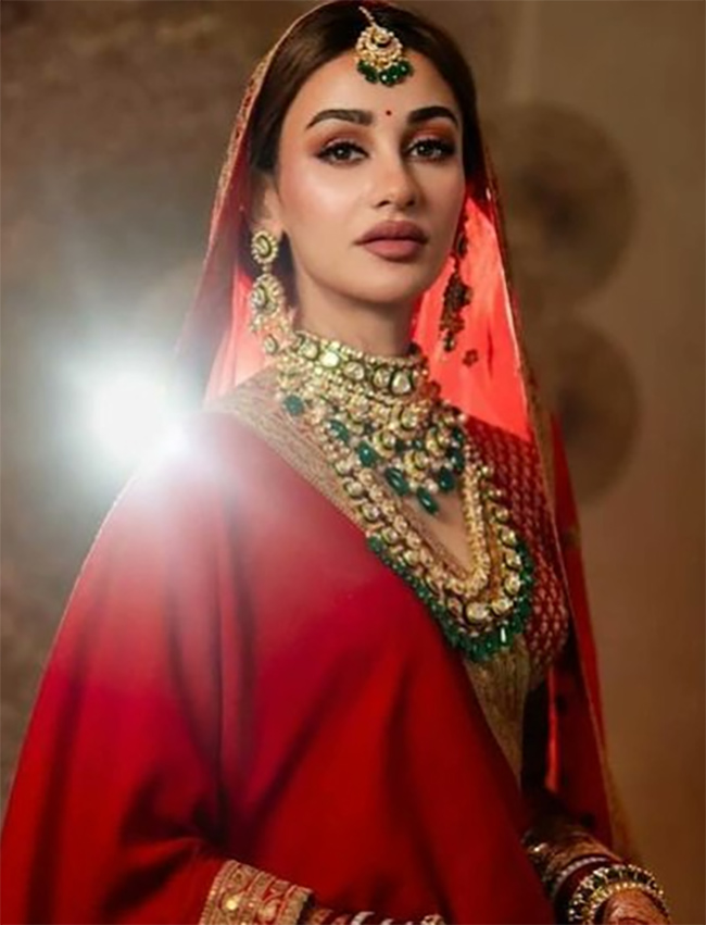 Jay kotak shares of wedding with ex Miss India Aditi Arya Photos - Sakshi3